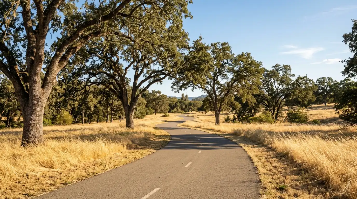 Cycling Trail in San Joaquin County